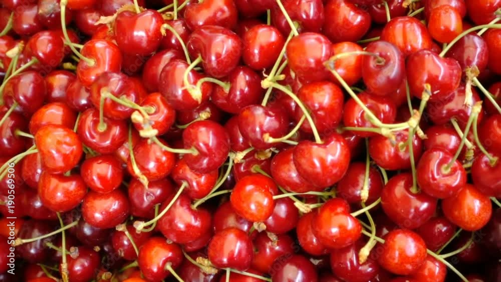 Red and fresh cherries on the market: health, food, freshness Red and fresh cherries on the market: health, food, freshness