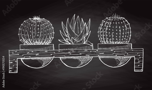 Sketch three succulents in pots on a wooden stand isolated on the chalkboard. Vector illustration
