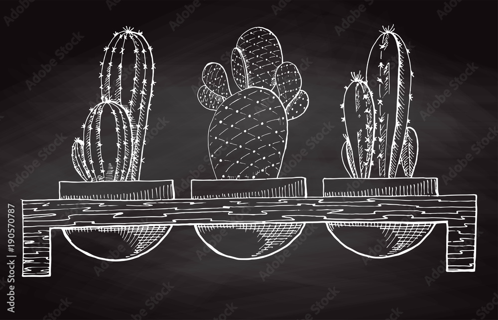 Naklejka premium Sketch three succulents in pots on a wooden stand isolated on the chalkboard. Vector illustration.