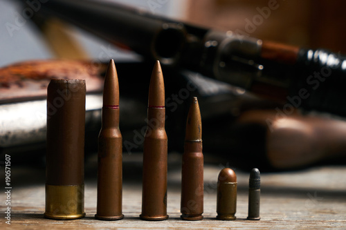 Different type of bullets and shotguns