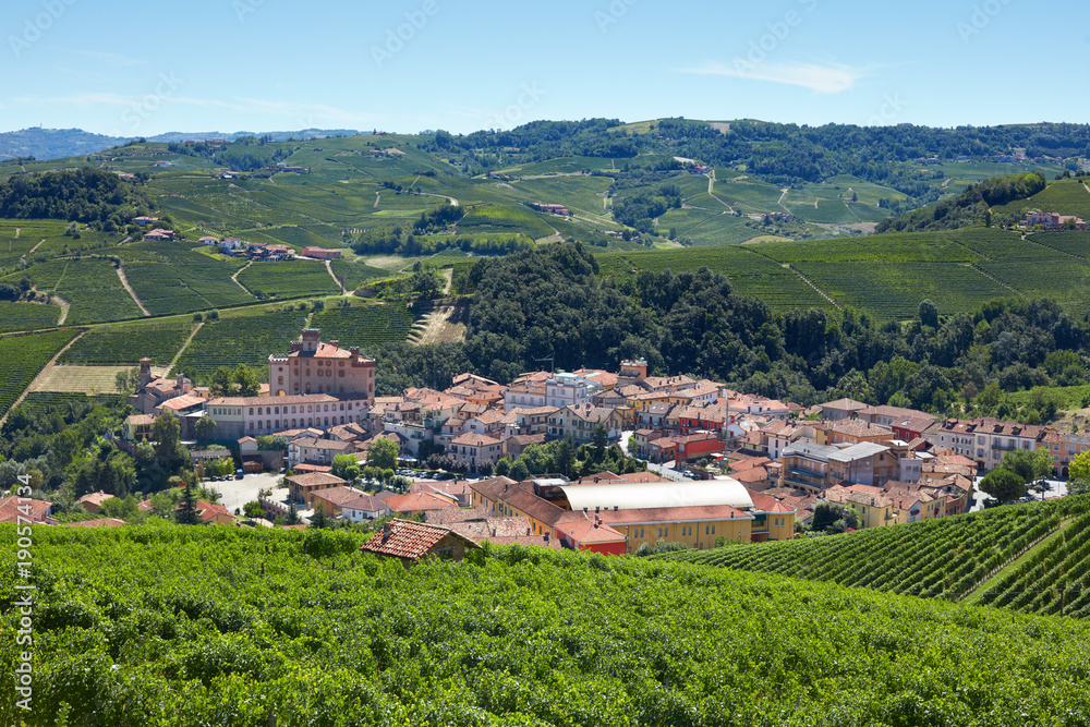 Barolo medieval town in Italy, high angle view in a sunny summer day