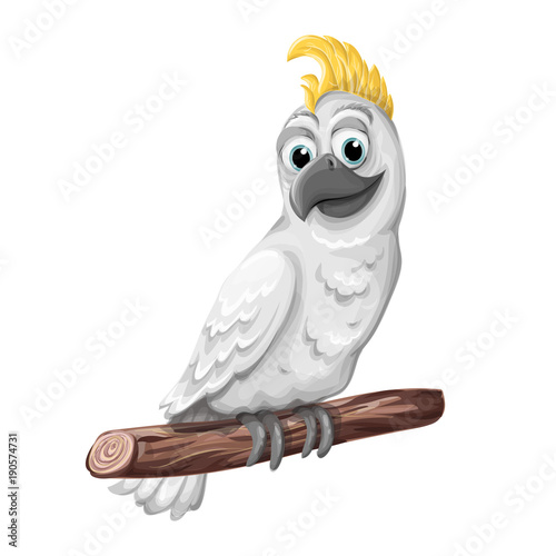 Cockatoo alba bird. Parrot character. Symbol of Australia.