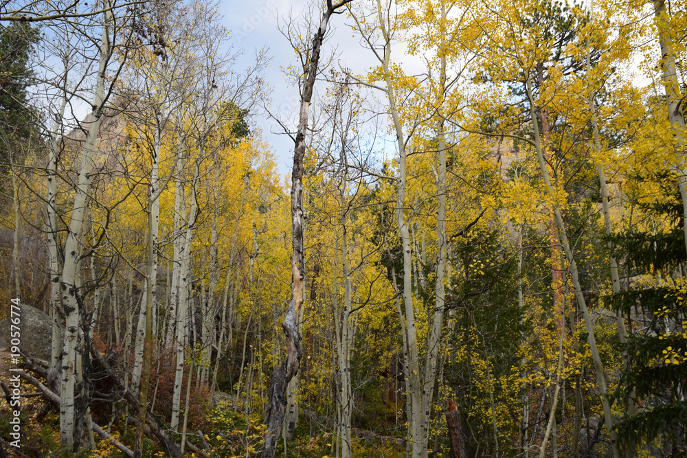 Fototapeta premium Rocky Mountain National Park