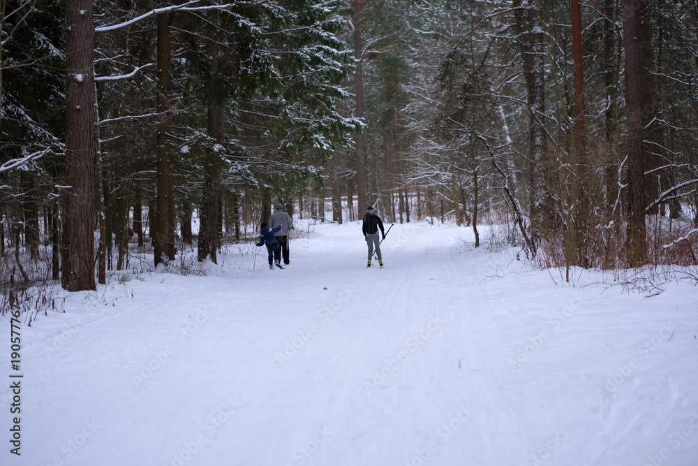 Skiers in the woods.