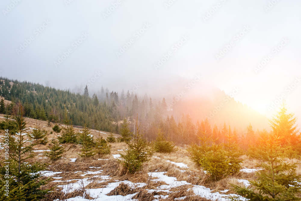 Beautiful view with morning fog in early spring, in Carpathian mountains, in Transylvania, Romania Beautiful view with morning fog in early spring, in Carpathian mountains, in Transylvania, Romania