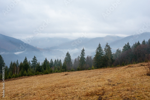 Beautiful view with morning fog in early spring, in Carpathian mountains, in Transylvania, Romania photo