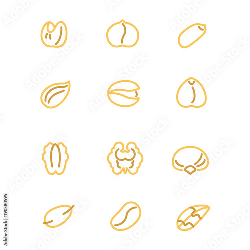 types of nuts as line icons / Twenty types of nuts as colorful line icons
