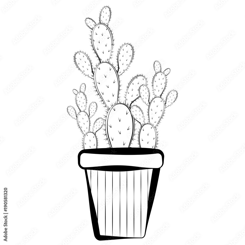 Sketch of a cactus Sketch of a cactus