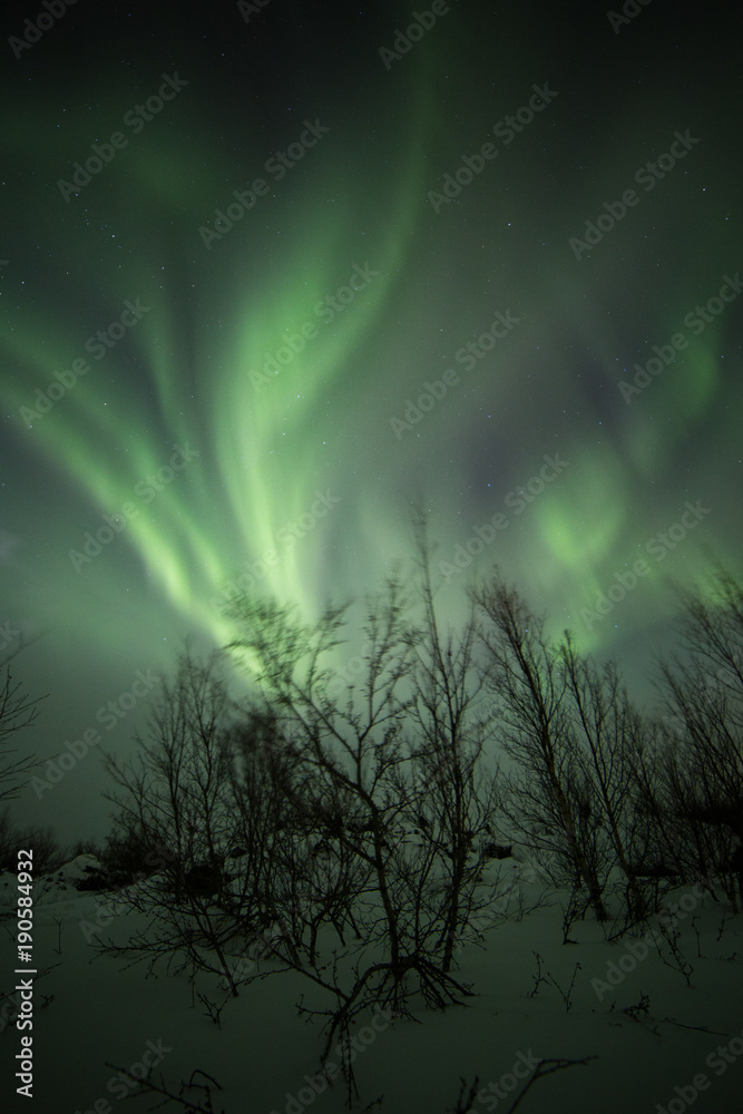 Naklejka premium Northern lights aurora show on a cold arctic night