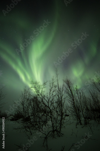 Northern lights aurora show on a cold arctic night