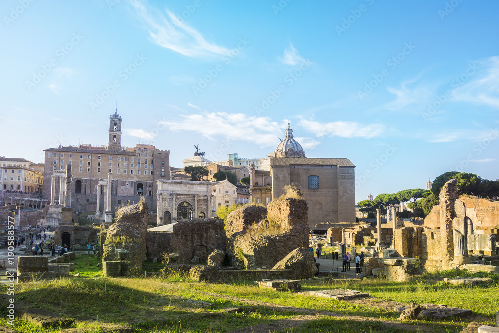 Fototapeta premium Roman Forum, Rome, Italy