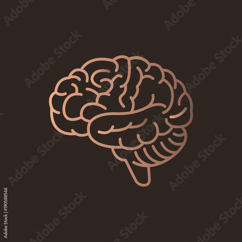 Brain logo icon design. Vector illustration.