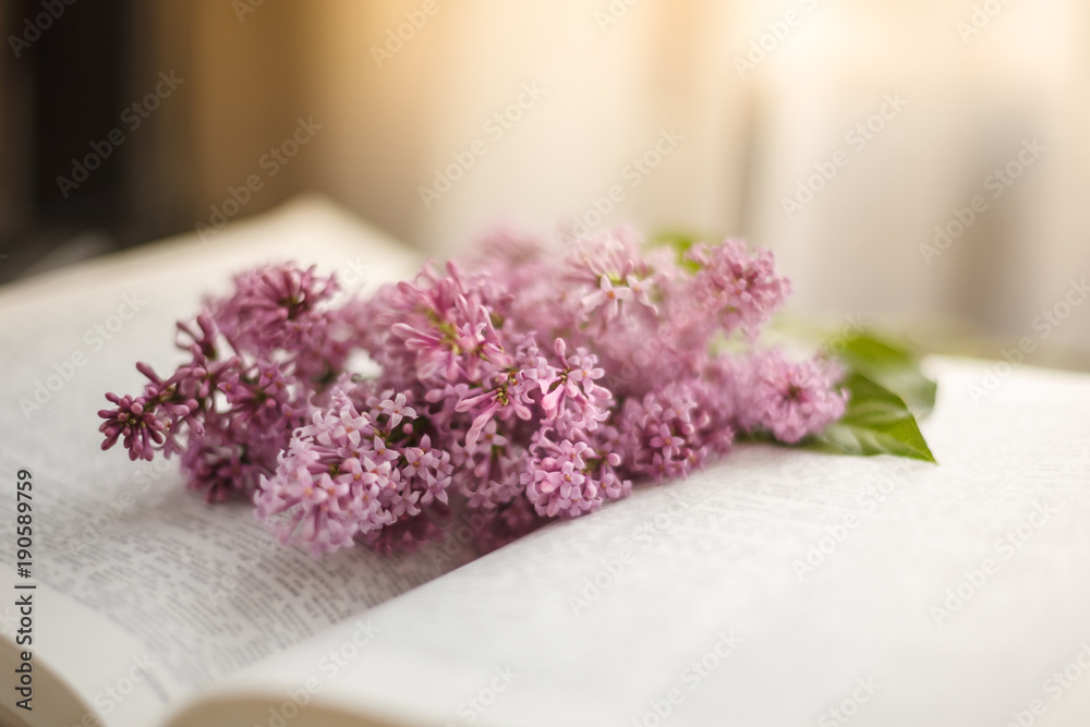The branches of the lilac lie on an open book indoor with daylight, copy space, close up/ Pink lilac bouquet lying on book pages, on sunny day with soft focus and blurry background/ Spring flowers The branches of the lilac lie on an open book indoor with daylight, copy space, close up/ Pink lilac bouquet lying on book pages, on sunny day with soft focus and blurry background/ Spring flowers