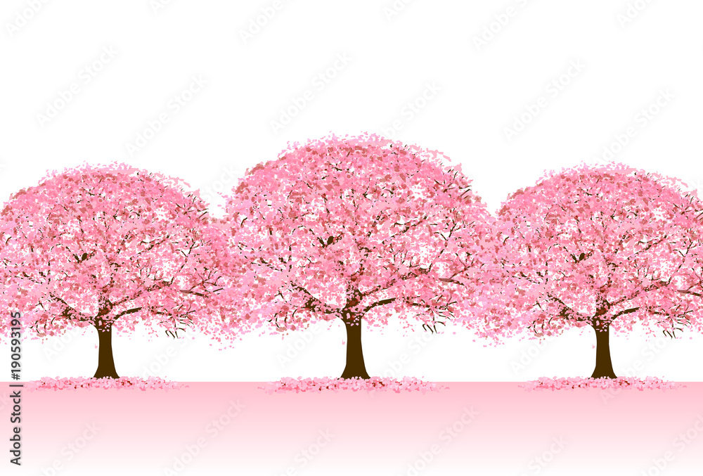 Obraz premium 桜 春 花 背景