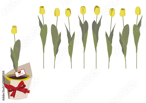 春の花。チューリップのクリップアート。ギフトフラワー。
