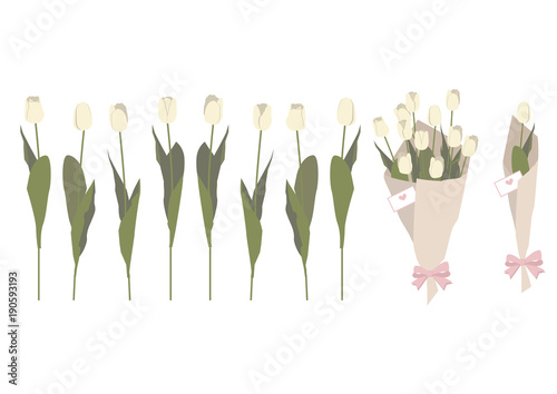 春の花。チューリップのクリップアート。ギフトフラワー。