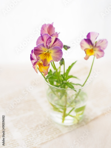 グラスに飾ったビオラの花