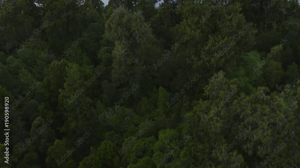 Aerial drone video of Lake Kaniere, Westland, West Coast, New Zealand Aerial drone video of Lake Kaniere, Westland, West Coast, New Zealand