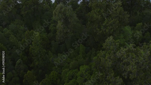 Aerial drone video of Lake Kaniere, Westland, West Coast, New Zealand photo