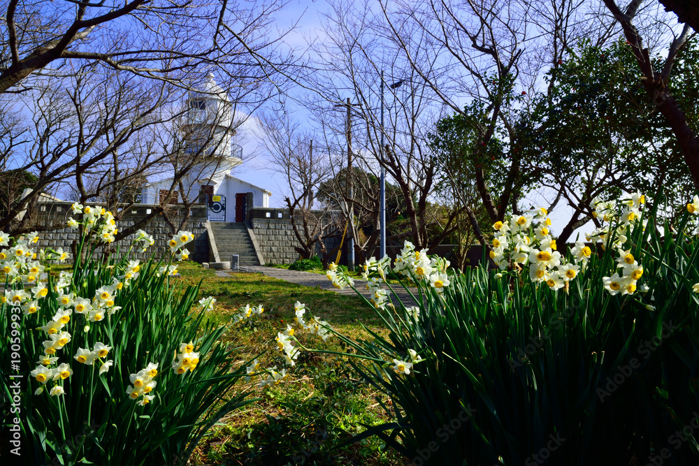 Obraz premium 豊後水道