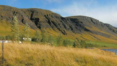 landscape in sunny day with dark mountains, trees and yellowed dry grass, windy weather
