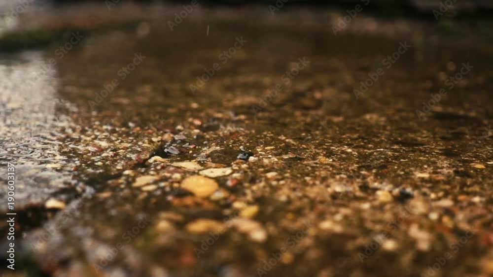 Summer sunny rain. Drops fall from the roof, slow motion Summer sunny rain. Drops fall from the roof, slow motion