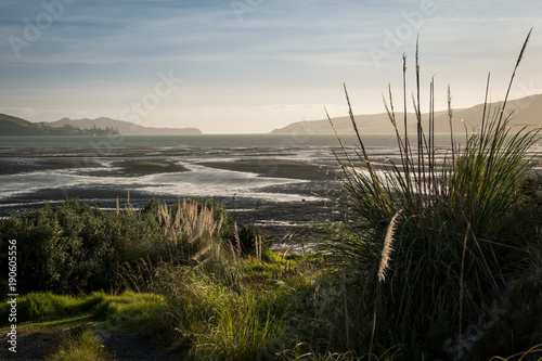 Hokianga Harbour