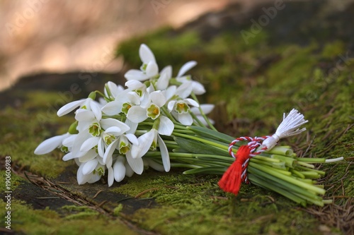 snowdrops, 1st of March tradition white and red cord martisor