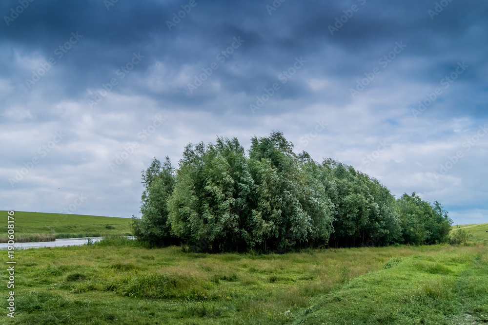 summer landscape, meadow with trees and sky, covered with thunderclouds summer landscape, meadow with trees and sky, covered with thunderclouds