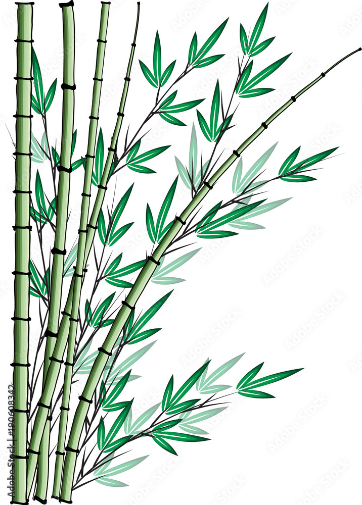 Obraz premium bamboo design