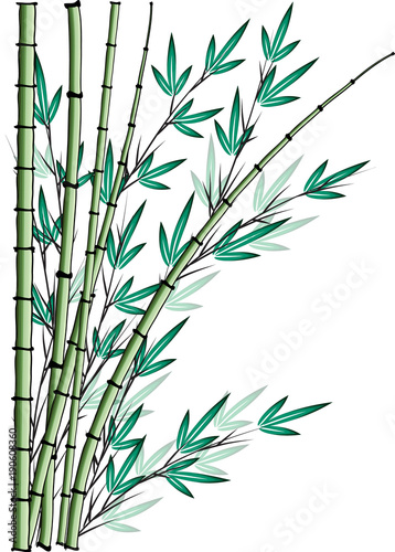 Fototapeta Naklejka Na Ścianę i Meble -  bamboo drawing background