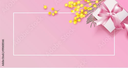 Mimosa branch and gift box on pink background. Beautiful spring background with place for text. Vetor illustration
