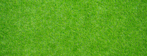 grass field background. green grass. green background