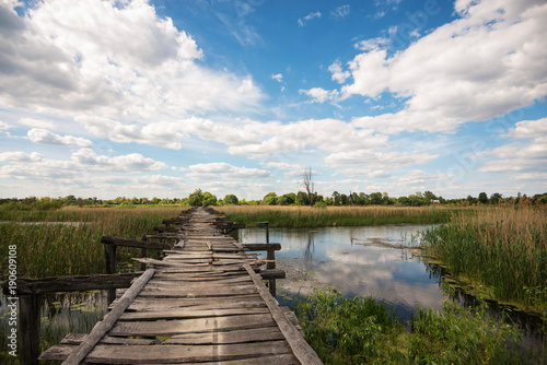 Wallpaper Mural Old wooden bridge across the river. Torontodigital.ca