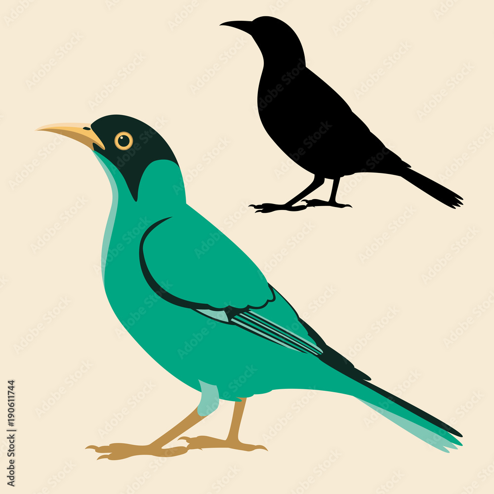 Obraz premium honeycreeper bird vector illustration flat style black silhouette
