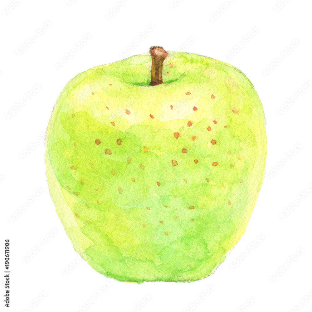 青りんご 水彩イラスト Stock イラスト Adobe Stock
