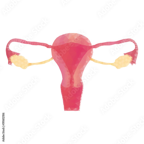 Polygon uterus