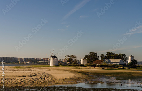 Windmills in midlle of a river with city skyline in background photo