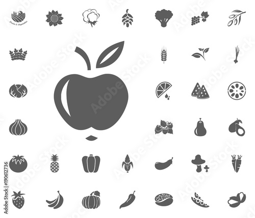 Apple icon. Fruit and Vegetables vector illustration icon set. food and plant symbols.