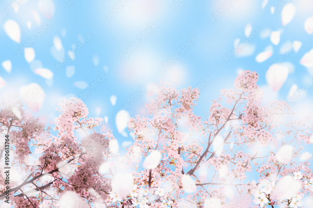 満開の桜 花吹雪 春イメージ Stock イラスト Adobe Stock