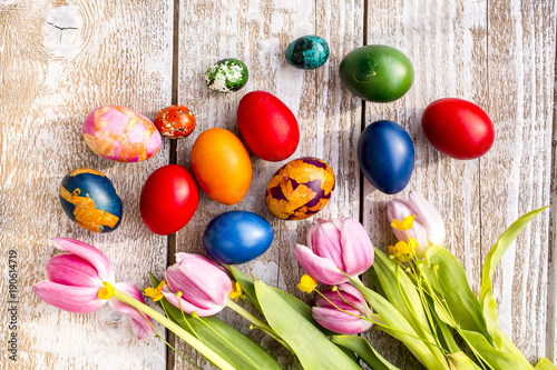 colorful Easter eggs and tulips on a white background