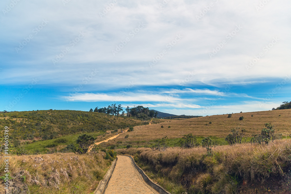 Stone Pathway in a Horton Plains National Park highlands of Sri Lanka and is covered by montane grassland and cloud forest. Ceylon, Asia. Stone Pathway in a Horton Plains National Park highlands of Sri Lanka and is covered by montane grassland and cloud forest. Ceylon, Asia.