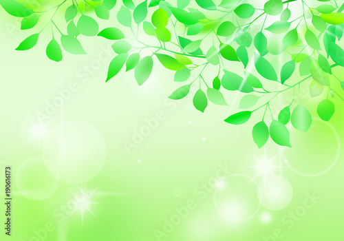 新緑 木漏れ日 背景 Stock イラスト Adobe Stock 新緑 木漏れ日 背景 Stock イラスト Adobe Stock