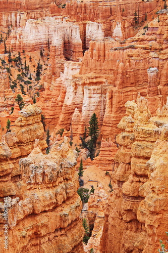 View from Sunset Point in Bryce Canyon in Utah in the USA 