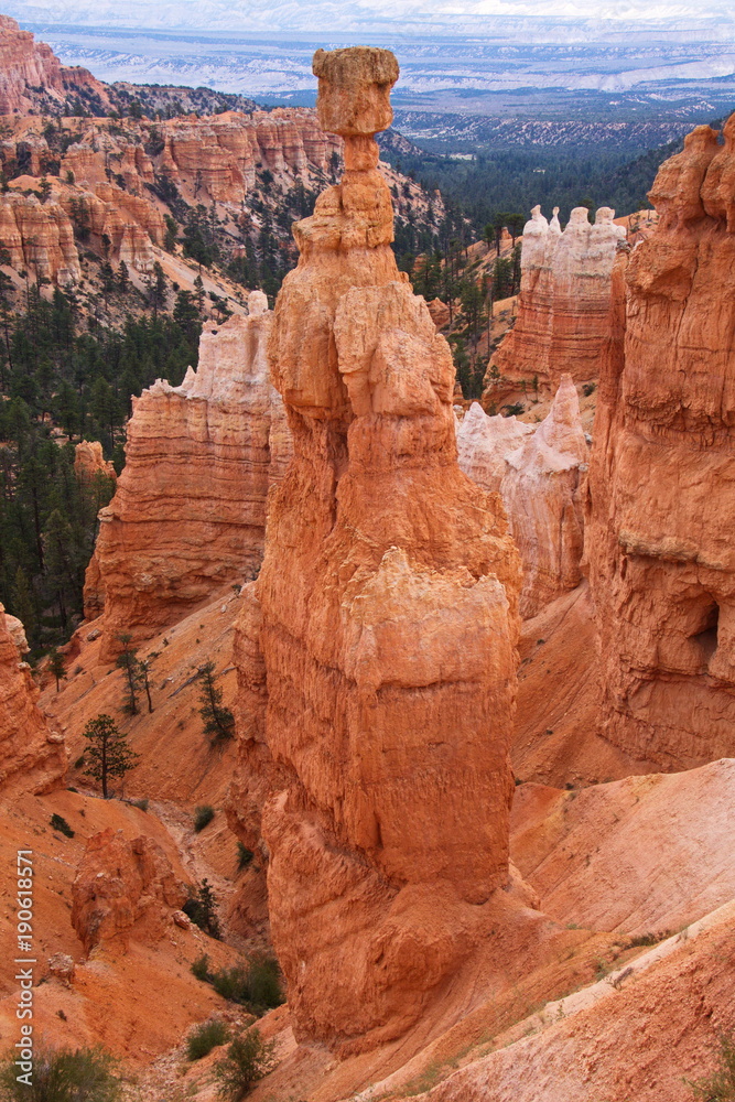 View from Navajo Trail in Bryce Canyon in Utah in the USA
View from Navajo Trail in Bryce Canyon in Utah in the USA