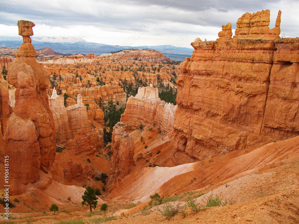 View from Navajo Trail in Bryce Canyon in Utah in the USA
View from Navajo Trail in Bryce Canyon in Utah in the USA