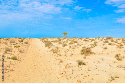 Desert landscape in Cape Verde, Africa