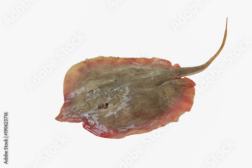 Fresh Ray fish , Skate fish isolated on white background with clipping path.