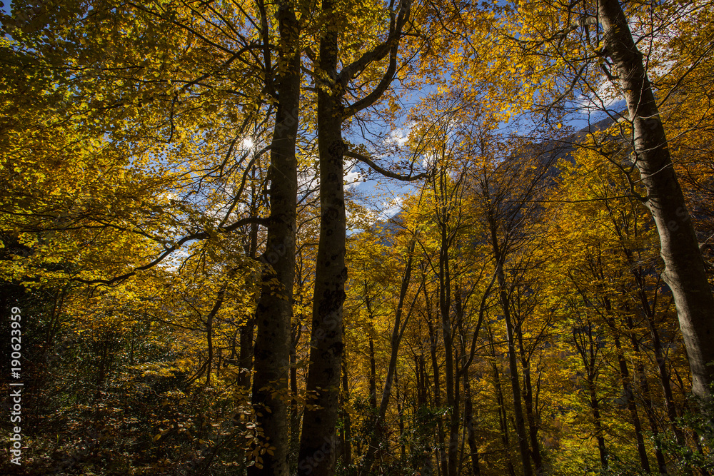 Otoño en los Pirineos