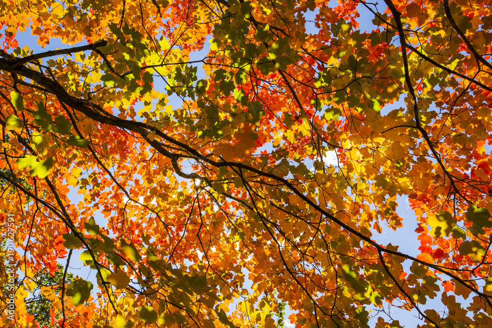 Otoño en los Pirineos